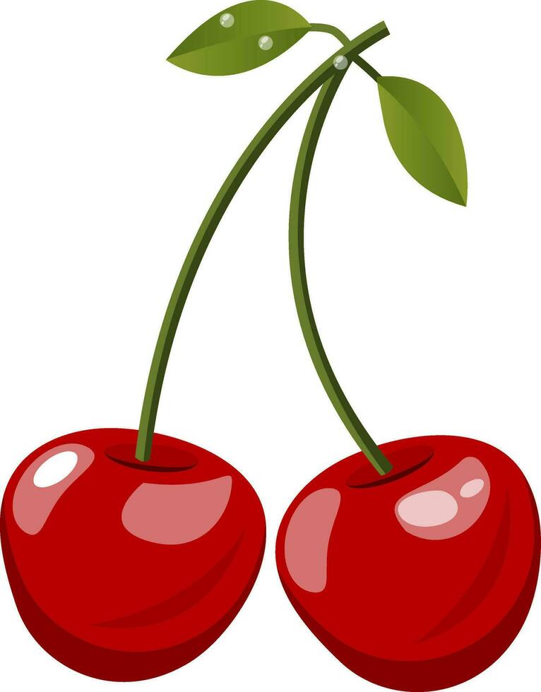 Red cherrys with green leafs  cartoon fruit vector illustration on white background.