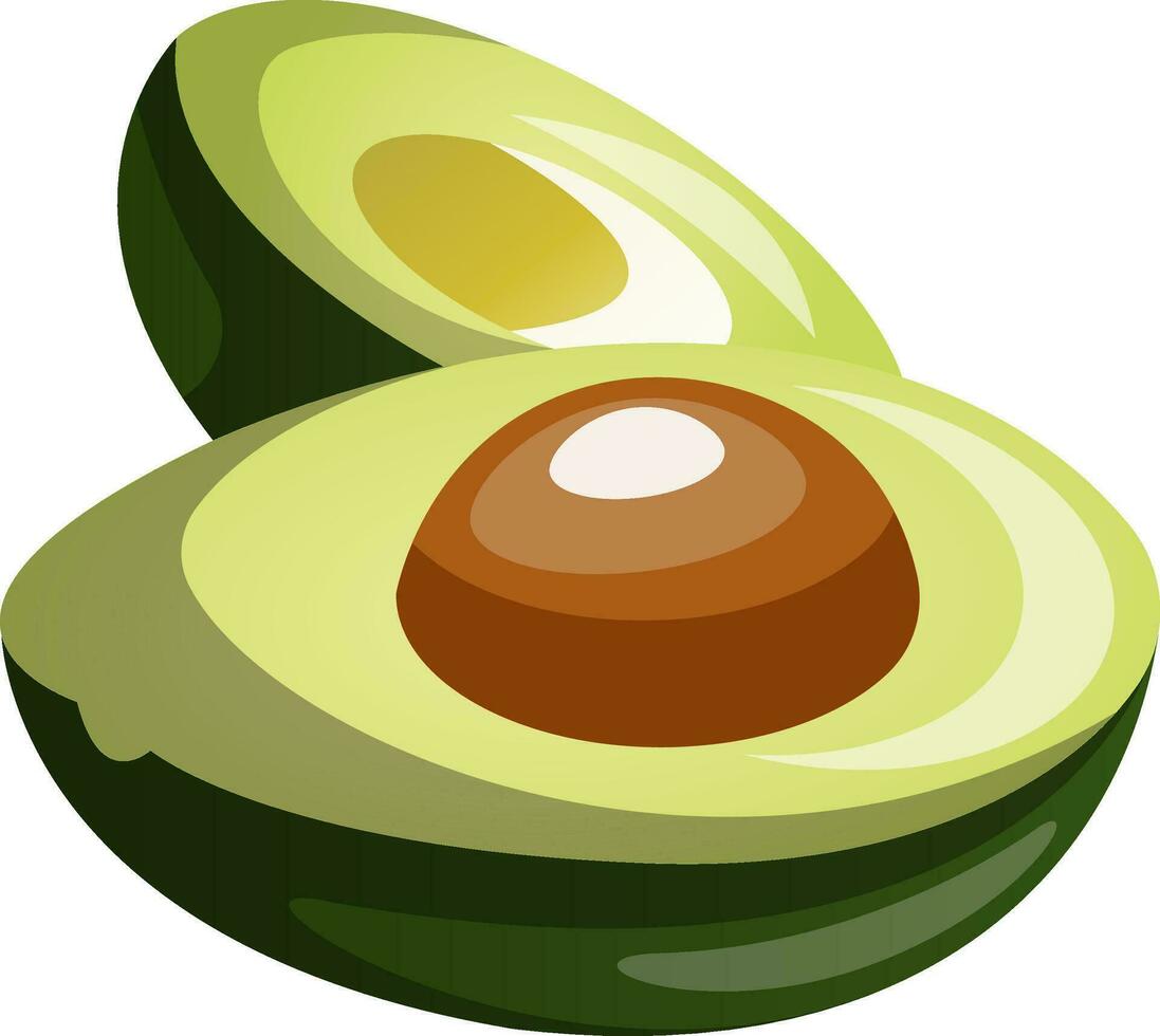 Green avocado cut in half cartoon fruit vector illustration on white background.