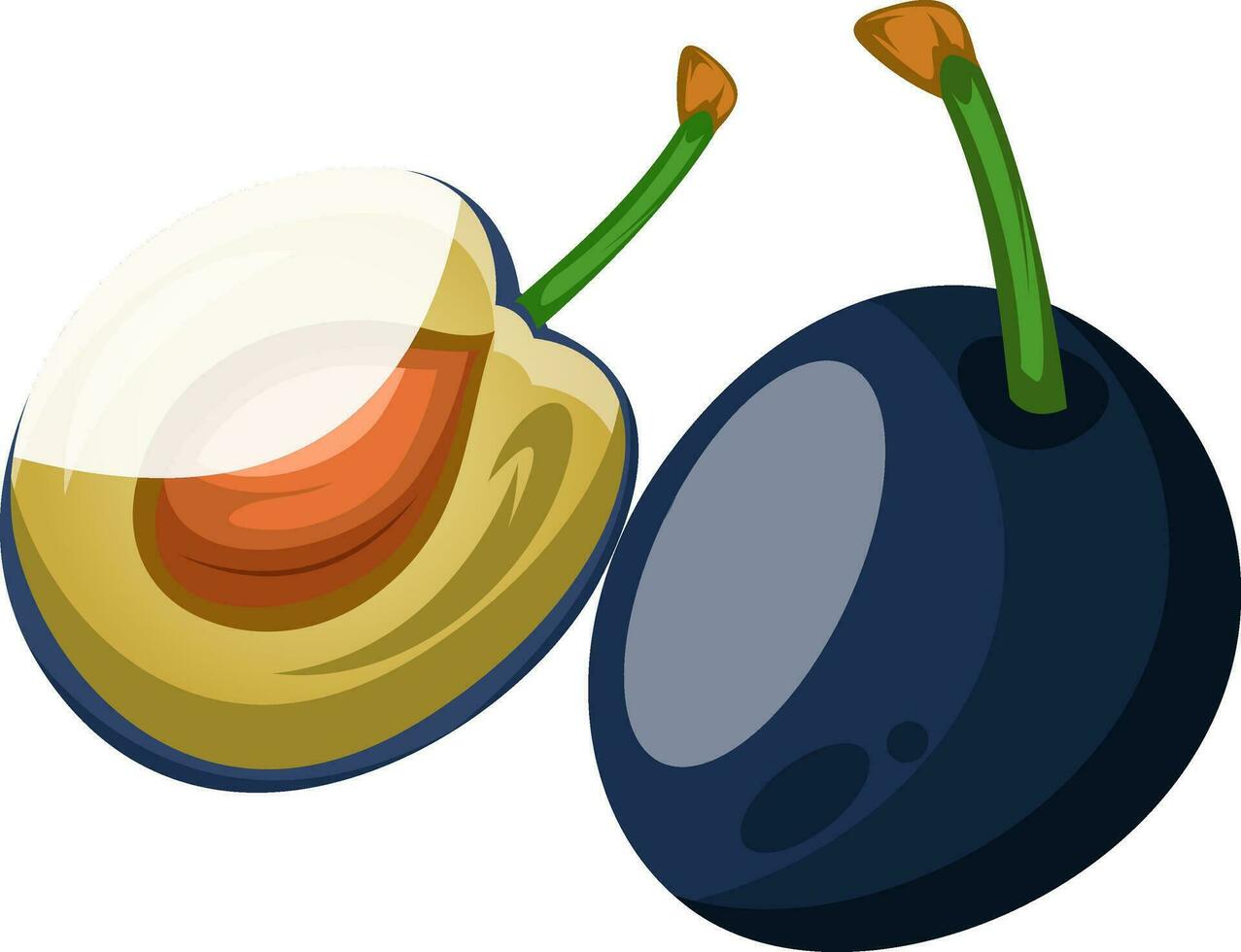 Blue damson plum cut in half cartoon fruit vector illustration on white background.