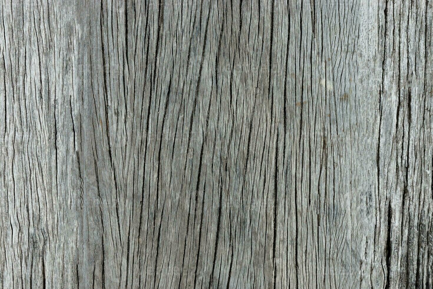 Old wood background photo