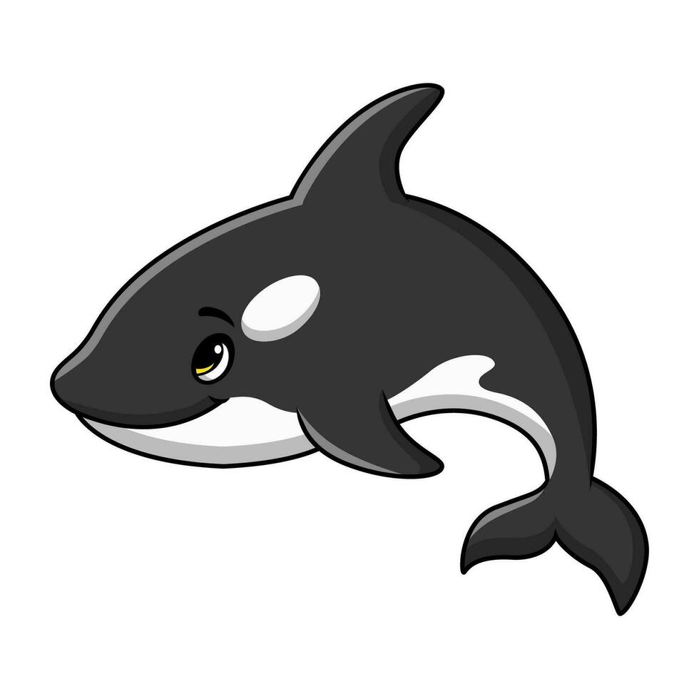 Cute killer whale cartoon on white background vector