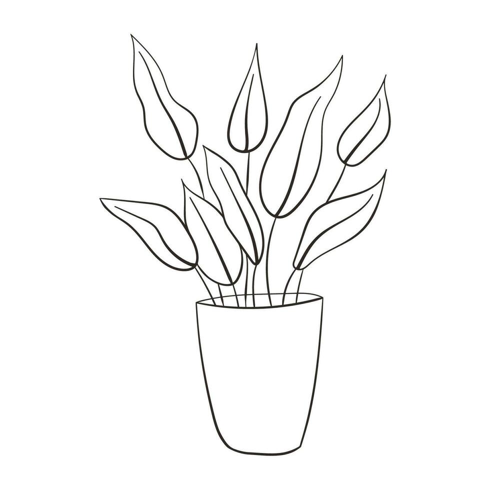 Aglaonema house plant sketch. Line art drawing potted tropical leaf aglaonema plant. Printable decorative houseplant concept for home wall decor ornament. vector