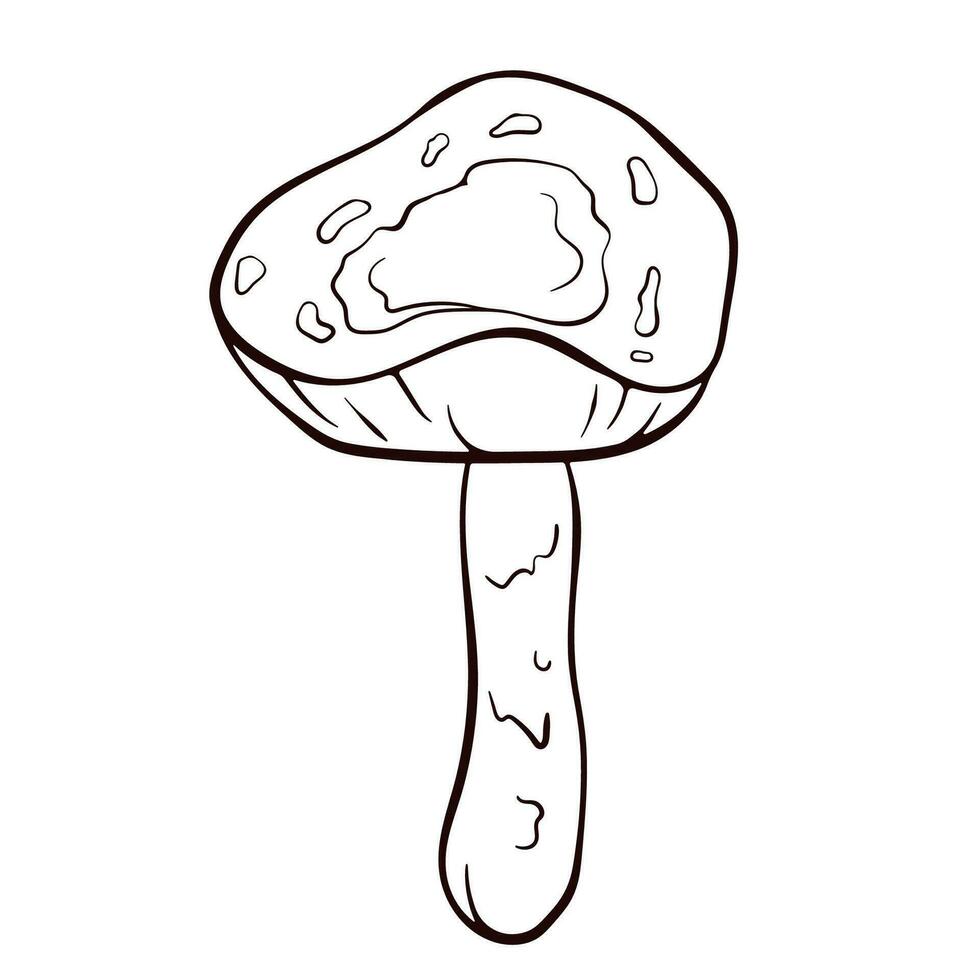 Inedible mushroom Deadly Dapperling black and white in line art style. Poisonous Lepiota brunneoincarnata hand drawn. Vector illustration isolated on a white background.