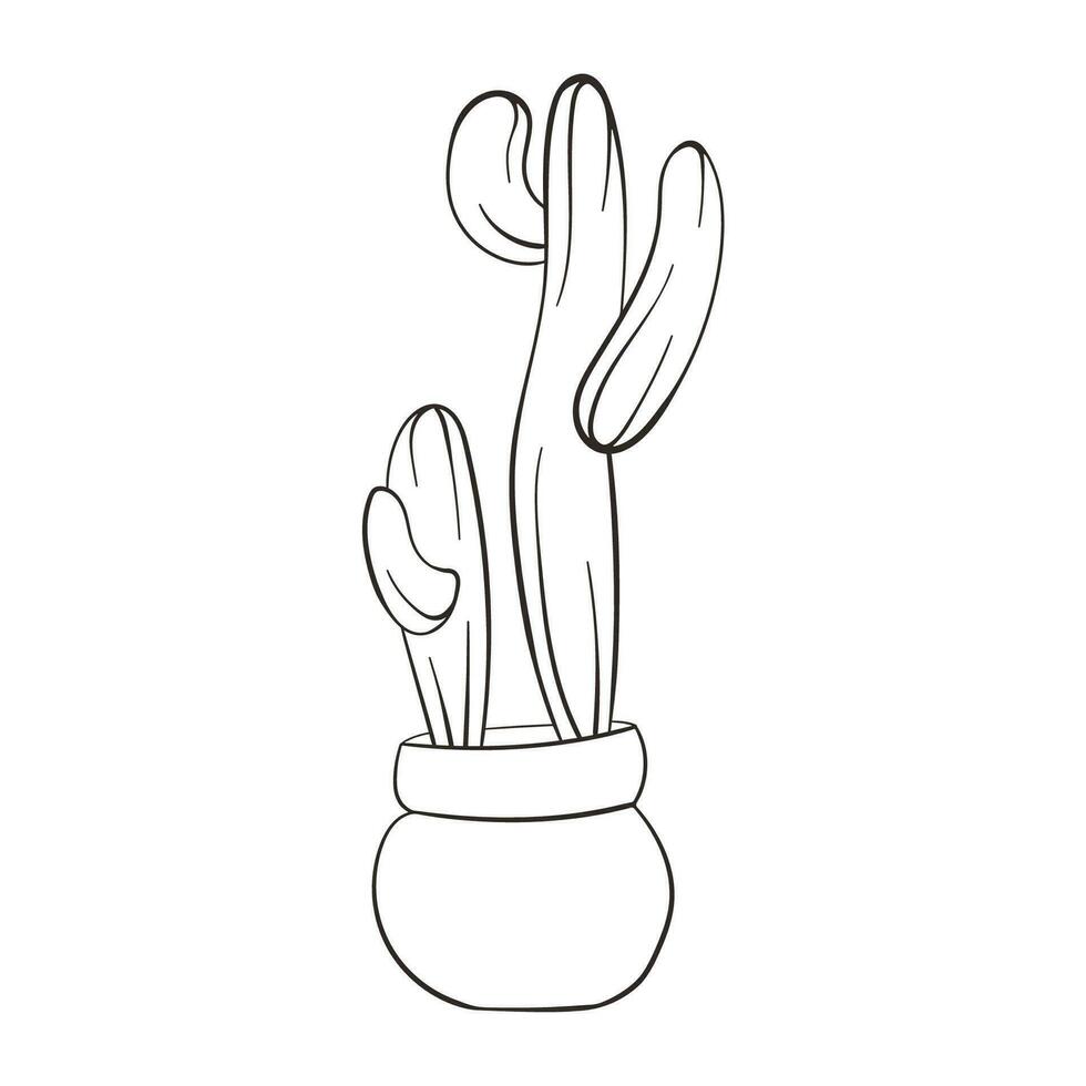 Cactus line art style. Linear Cactus. Hand drawn cactus isolated on white background. Succulent plants in doodle style. Vintage illustration. vector