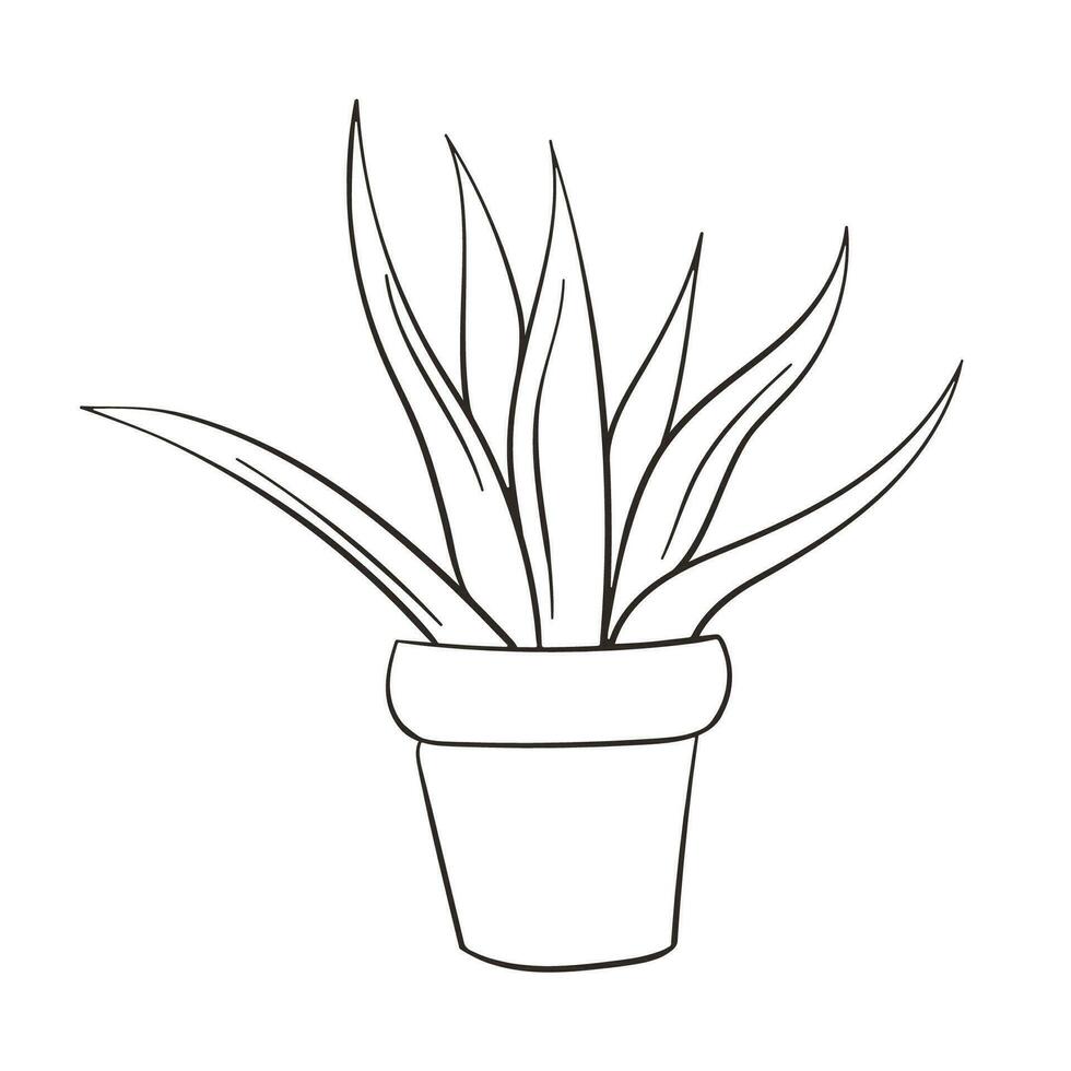 Agave vector icon. House plant symbol line art vector sign isolated on white background. Simple vector illustration for graphic and web design.