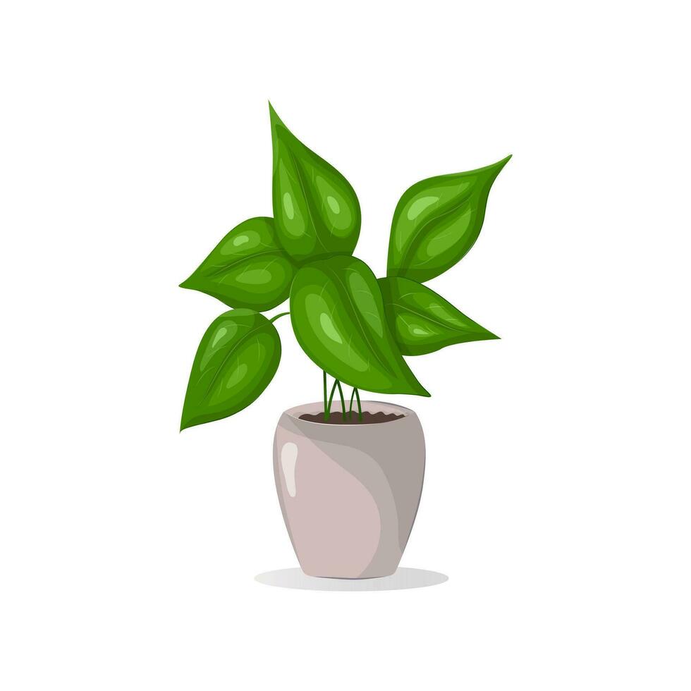 casa planta en cerámico maceta icono aislado en blanco. interior planta. vector realista interior planta con hojas en un maceta. aislado en blanco.