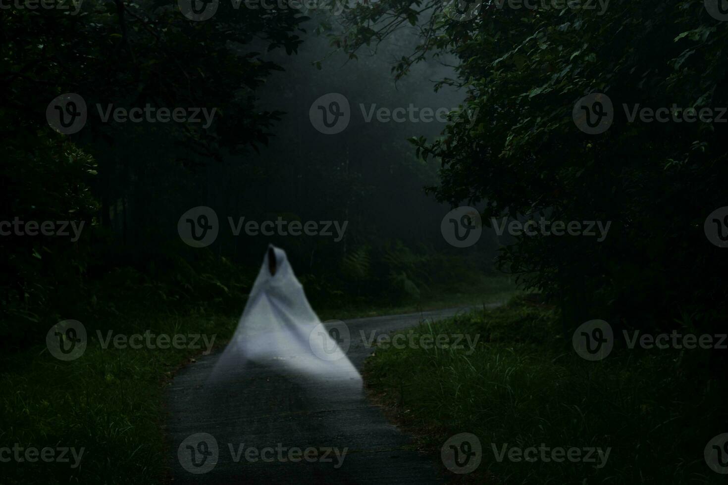 Low key image of ghost on the road in the forest. photo