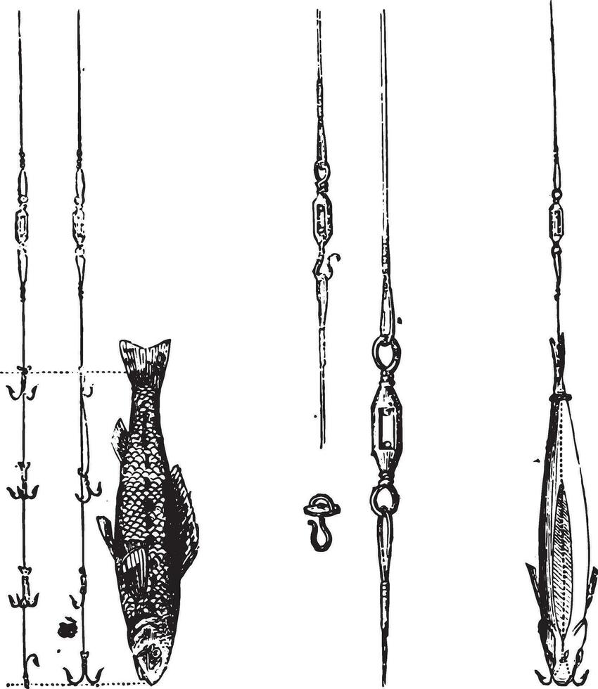 Fig 1 Fish bait and the two systems to kill the devil, Fig 2 Swivels diverse, Fig 3 Fishing ratchet has Troling, vintage engraving. vector