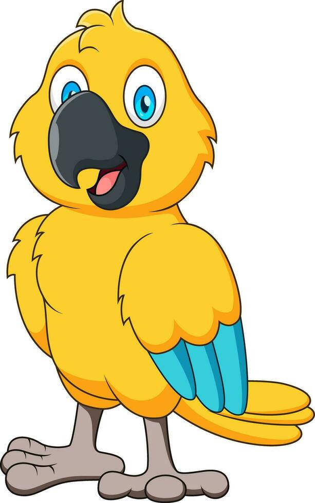 Cartoon cute yellow parrot mascot 35395531 Vector Art at Vecteezy