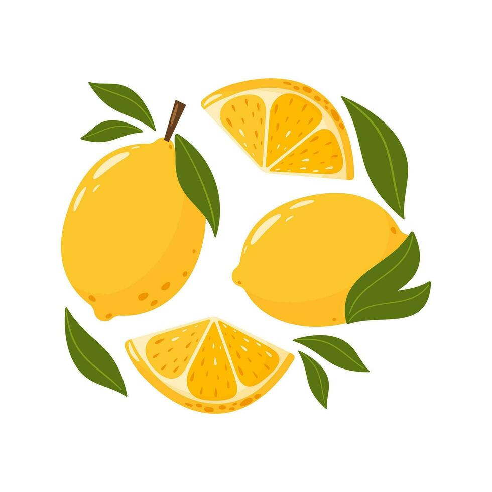 todo y rebanado limones con hojas. conjunto de agrios agrio frutas verano vitamina vector resumen ilustración para bandera, póster, volantes, bandera, saludo tarjeta. dibujos animados plano estilo.