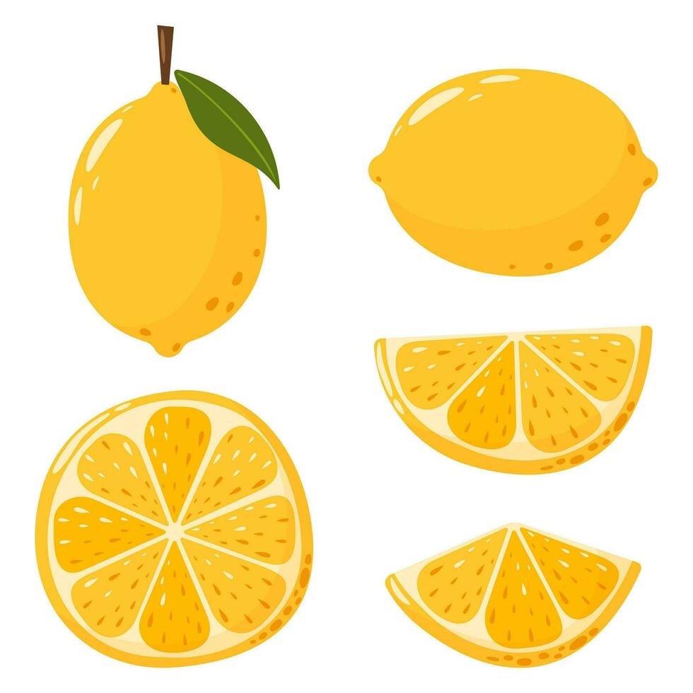 Lemon fruit collection in flat hand drawn style, vector illustration set. Lemon slices and whole fruit, graphic design elements. Cartoon vitamin yellow juice ingredients.