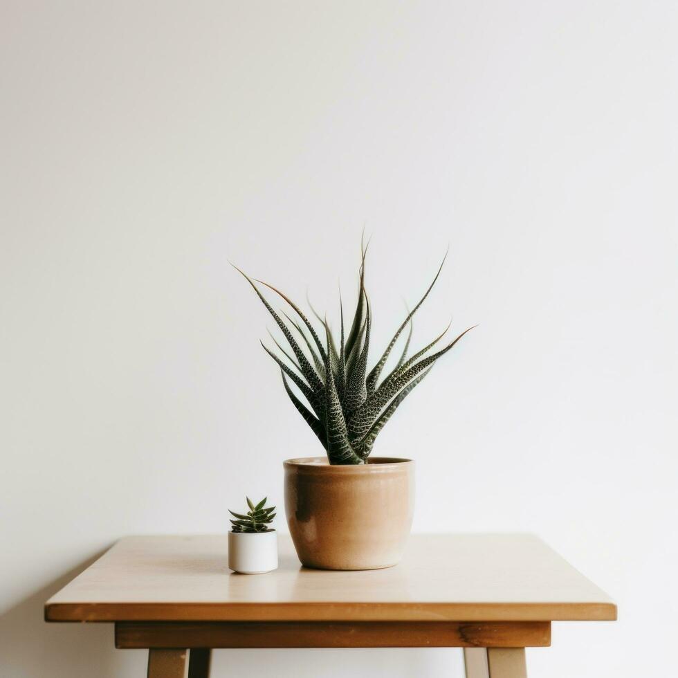 AI generated aloe plant on a table against white wall photo