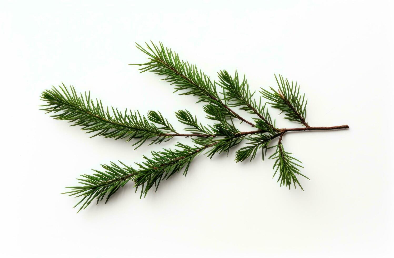 AI generated a white background with the sprig of a christmas tree, post-punk diy, the younger, use of earth tones photo
