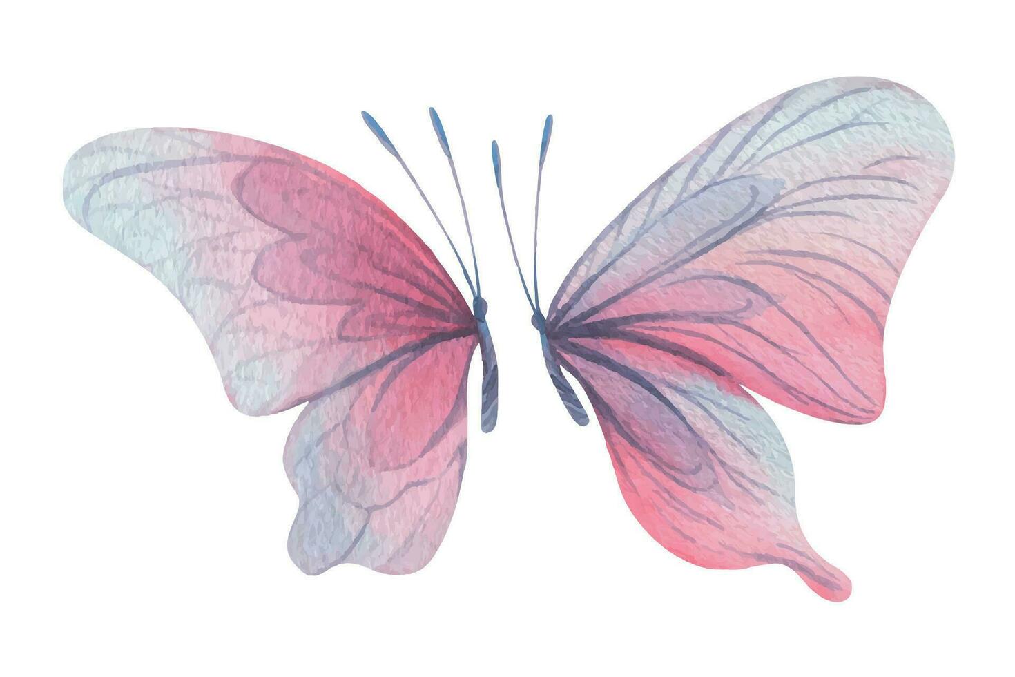Butterflies are pink, blue, lilac, flying, delicate with wings and splashes of paint. Hand drawn watercolor illustration. Set of isolated elements on a white background, for design Vector EPS