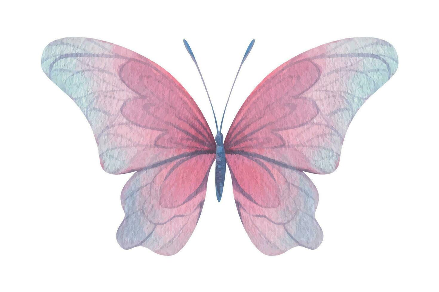 Butterfly are pink, blue, lilac, flying, delicate with wings. Hand drawn watercolor illustration. Isolated element on a white background, for design. Vector EPS