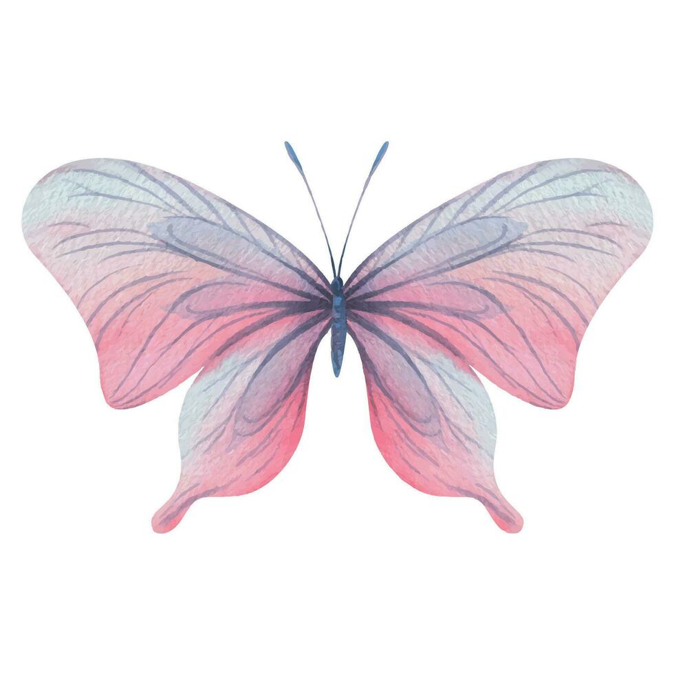 Butterfly are pink, blue, lilac, flying, delicate with wings. Hand drawn watercolor illustration. Isolated element on a white background, for design. Vector EPS