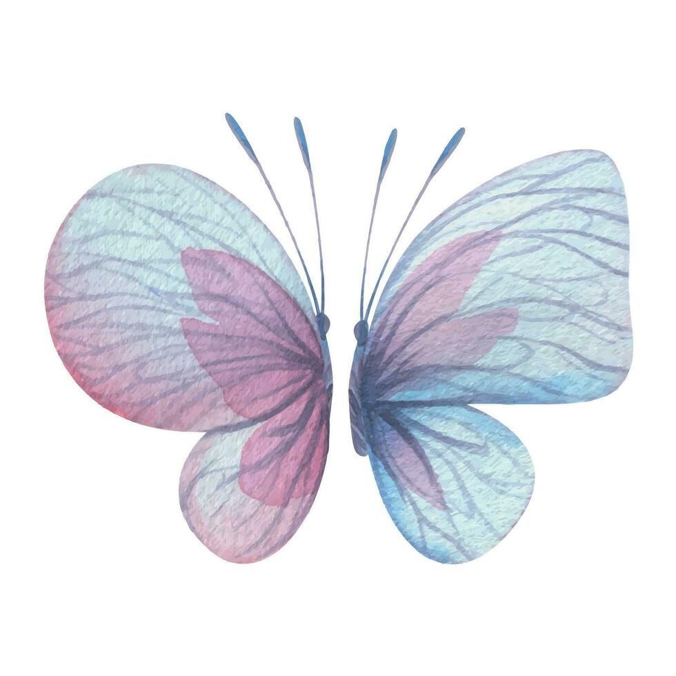 Butterflies are pink, blue, lilac, flying, delicate with wings and splashes of paint. Hand drawn watercolor illustration. Set of isolated elements on a white background, for design Vector EPS