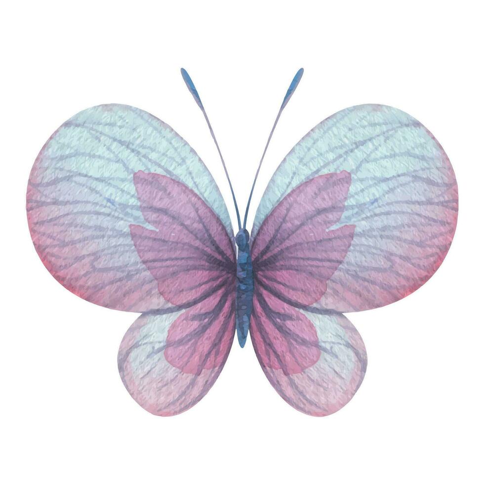 Butterfly are pink, blue, lilac, flying, delicate with wings. Hand drawn watercolor illustration. Isolated element on a white background, for design. Vector EPS