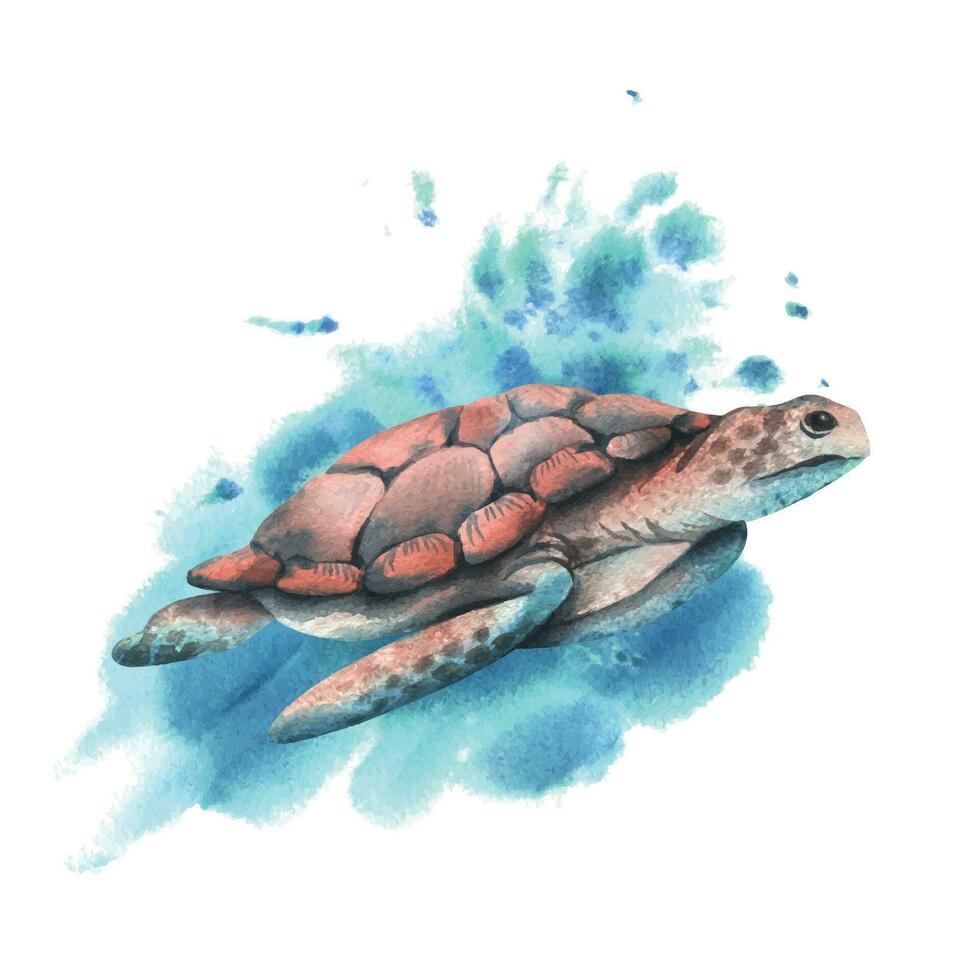 A blue and coral turtle swims against a background of blue and turquoise spots. Sea animals, underwater world, seafood. Isolated composition on a white background for decoration and design. Vector EPS