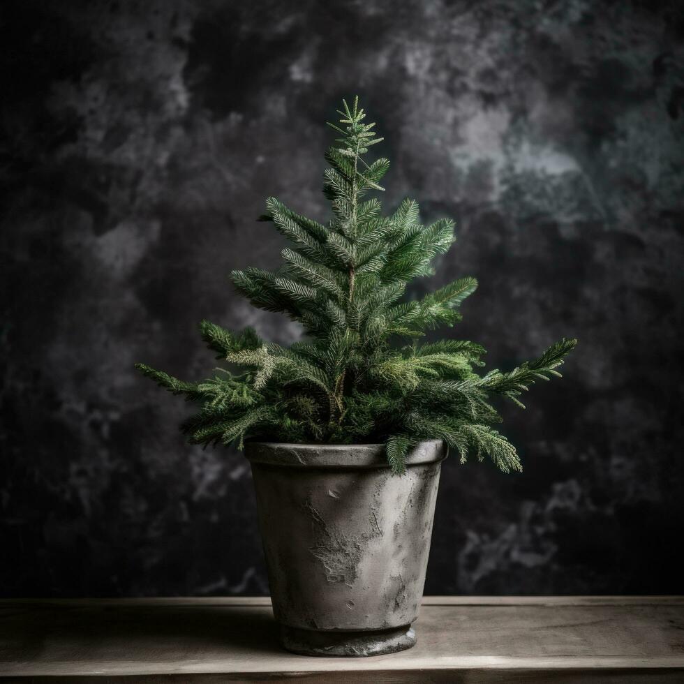 AI generated a small christmas tree in a pot photo