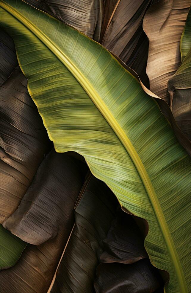 AI generated a banana leaf in a tree photo