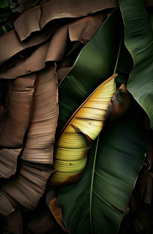 AI generated a banana leaf in a tree photo