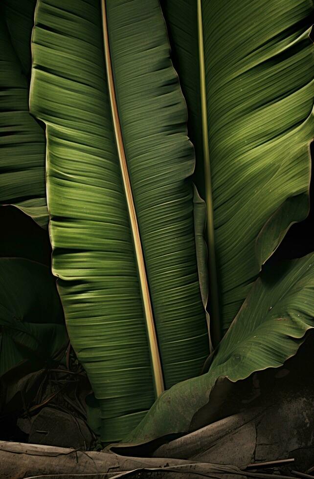 AI generated a banana leaf in a tree photo