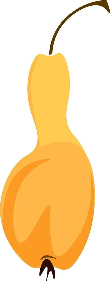 Thin orange pear, illustration, vector on white background.