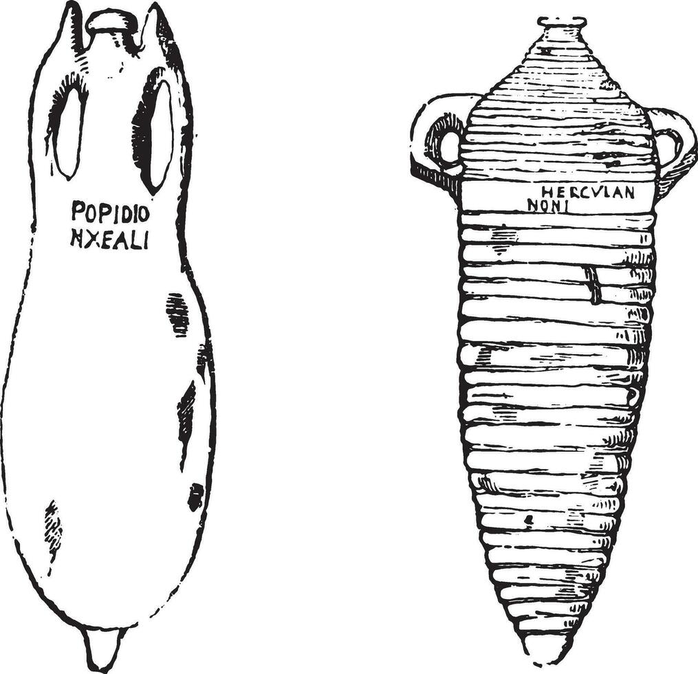 ánforas, Clásico grabado. vector