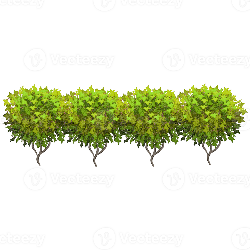 Green bush and tree for landscape and architecture drawing, elements for environment and garden,botanical elements for section in spring. png