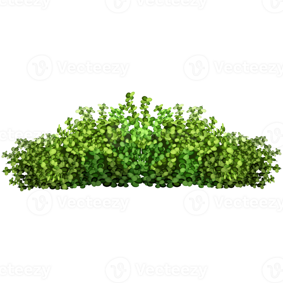 Green bush and tree for landscape and architecture drawing, elements for environment and garden,botanical elements for section in spring. png