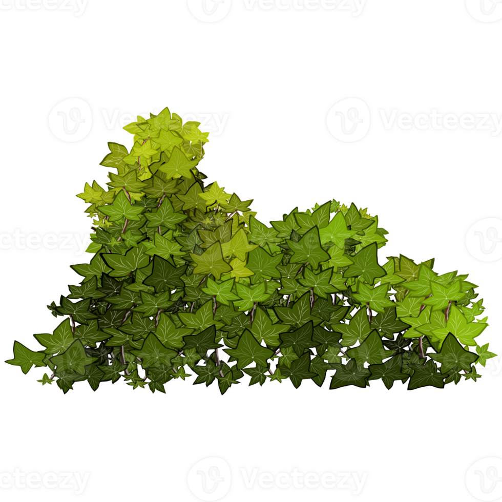 Green bush and tree for landscape and architecture drawing, elements for environment and garden,botanical elements for section in spring. png