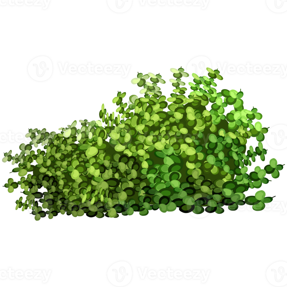 Green bush and tree for landscape and architecture drawing, elements for environment and garden,botanical elements for section in spring. png