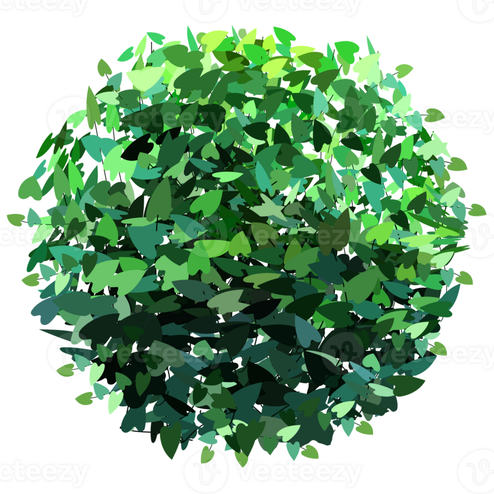 Green bush and tree for landscape and architecture drawing, elements for environment and garden,botanical elements for section in spring. png