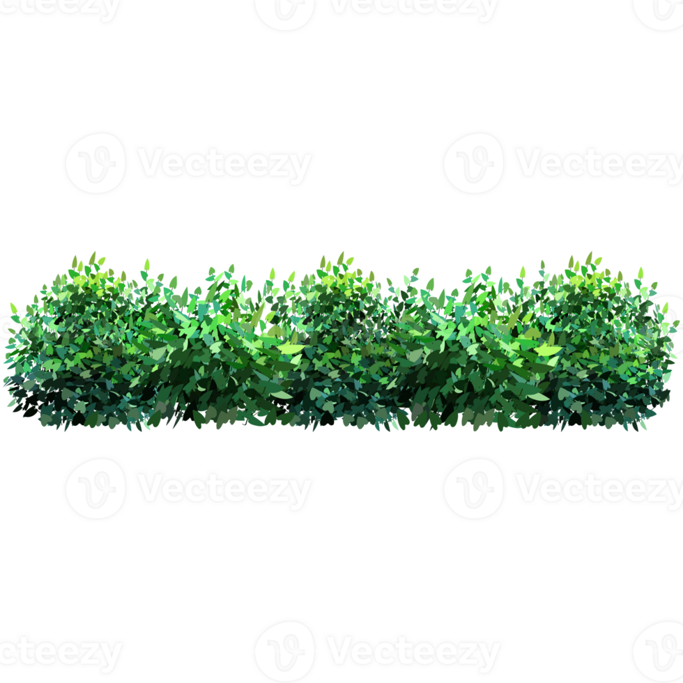 Green bush and tree for landscape and architecture drawing, elements for environment and garden,botanical elements for section in spring. png