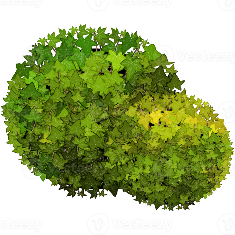Green bush and tree for landscape and architecture drawing, elements for environment and garden,botanical elements for section in spring. png