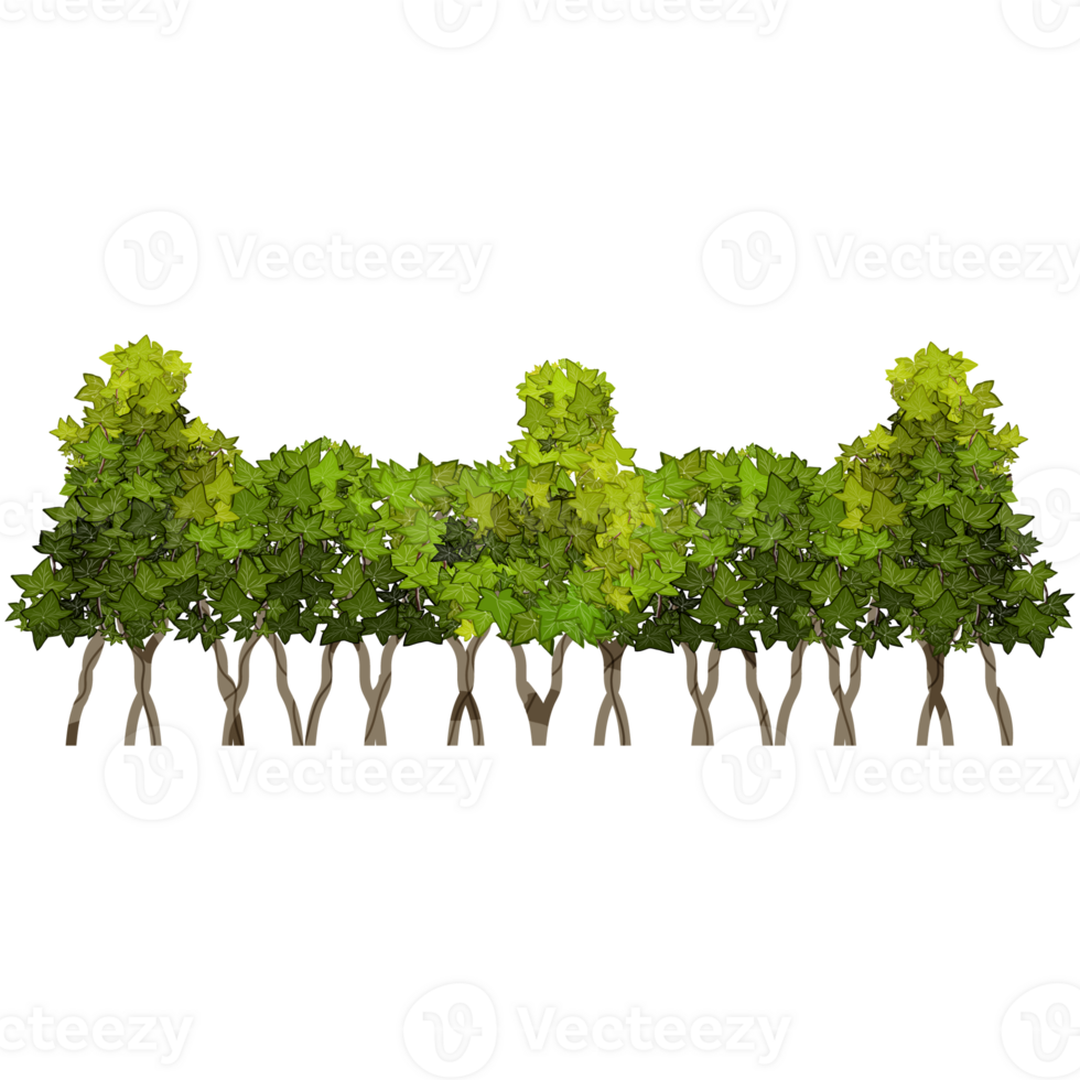 Green bush and tree for landscape and architecture drawing, elements for environment and garden,botanical elements for section in spring. png