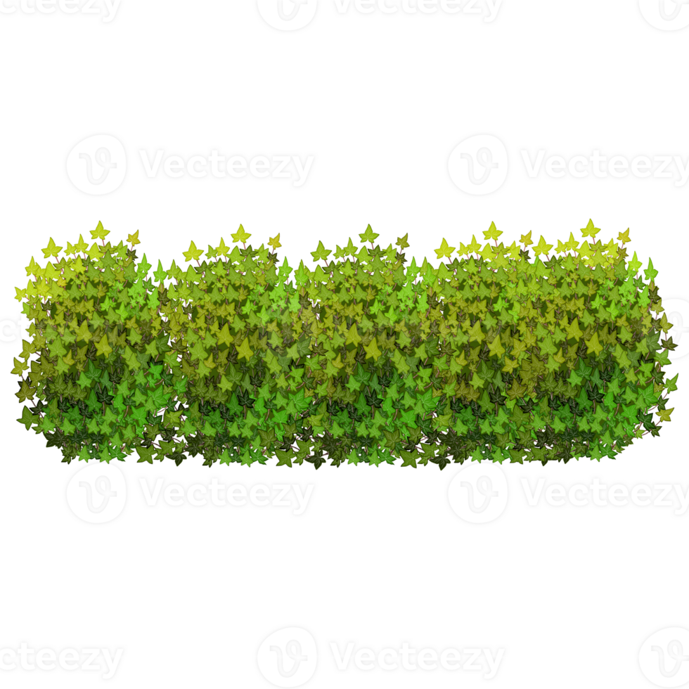 Green bush and tree for landscape and architecture drawing, elements for environment and garden,botanical elements for section in spring. png