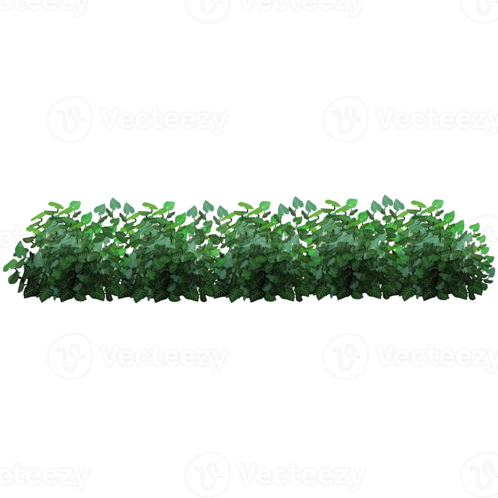 Green bush and tree for landscape and architecture drawing, elements for environment and garden,botanical elements for section in spring. png