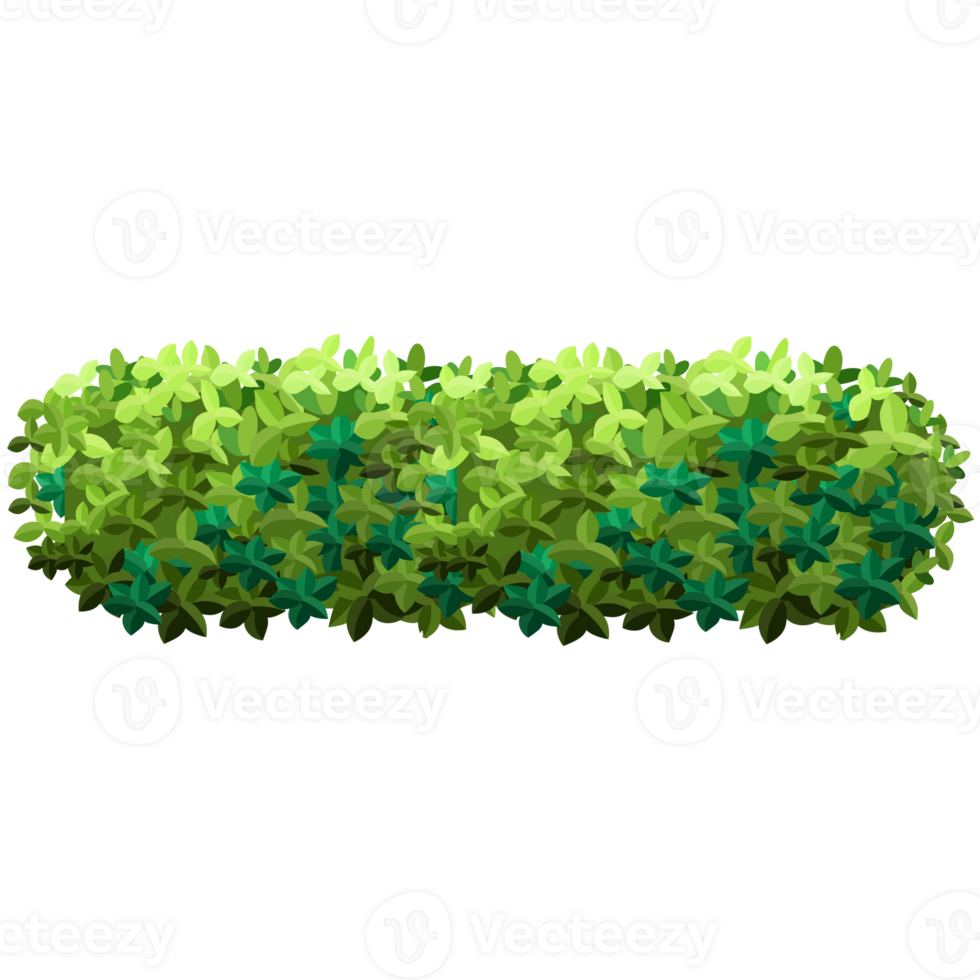 Green bush and tree for landscape and architecture drawing, elements for environment and garden,botanical elements for section in spring. png