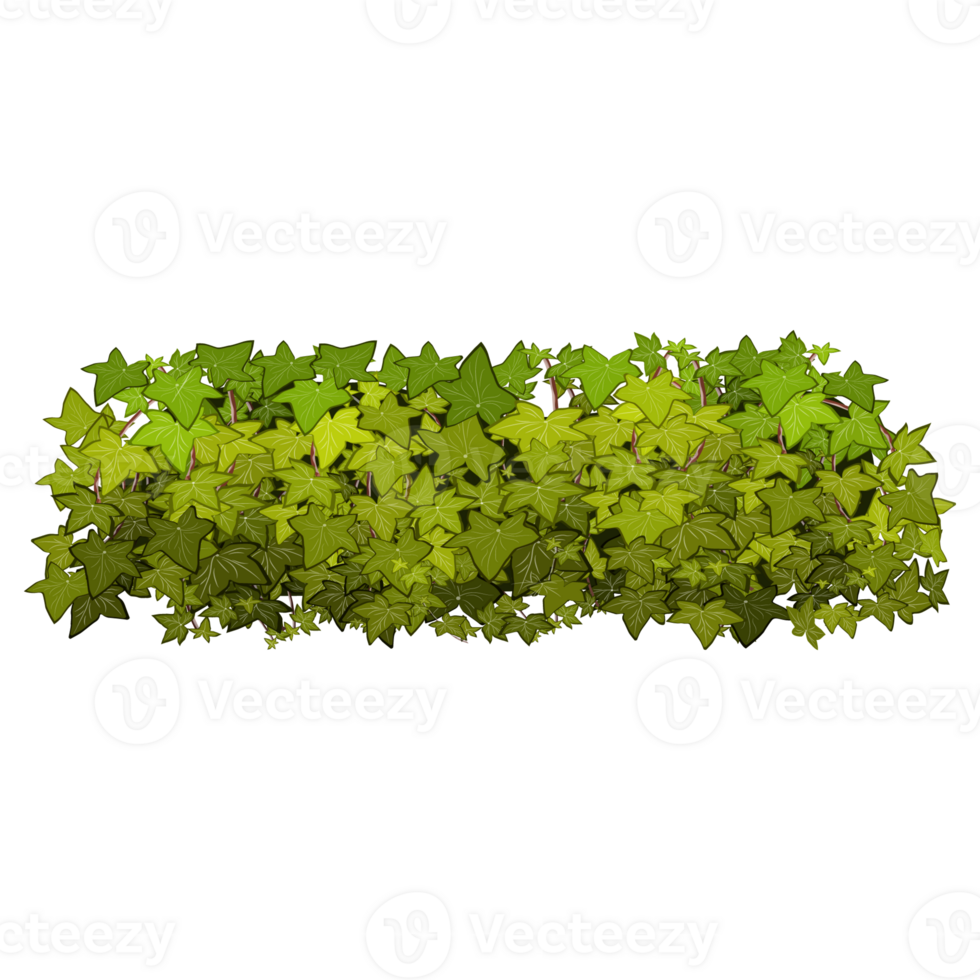 Green bush and tree for landscape and architecture drawing, elements for environment and garden,botanical elements for section in spring. png