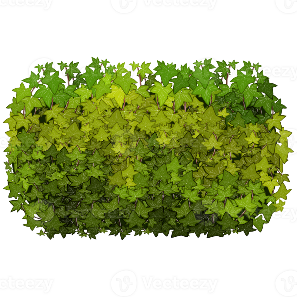 Green bush and tree for landscape and architecture drawing, elements for environment and garden,botanical elements for section in spring. png