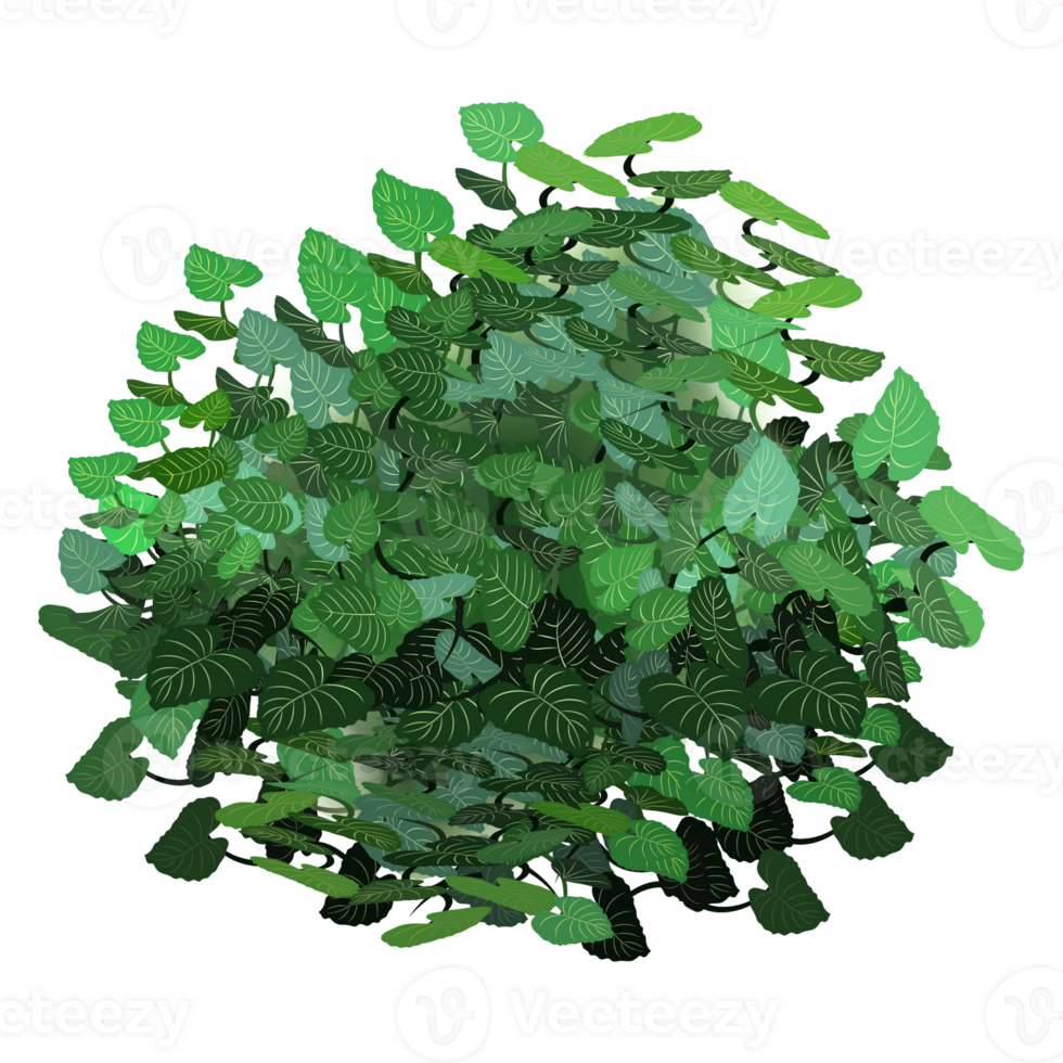 Green bush and tree for landscape and architecture drawing, elements for environment and garden,botanical elements for section in spring. png