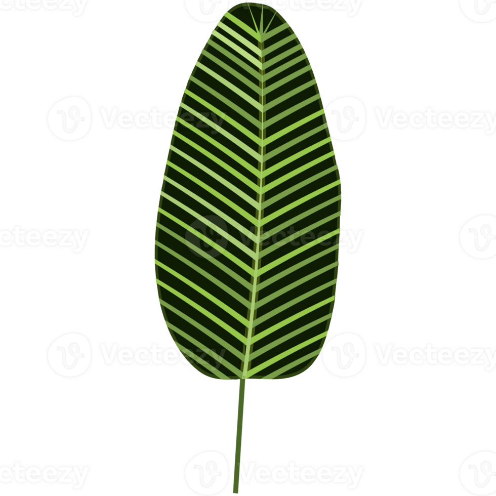 Green bush and tree for landscape and architecture drawing, elements for environment and garden,botanical elements for section in spring. png