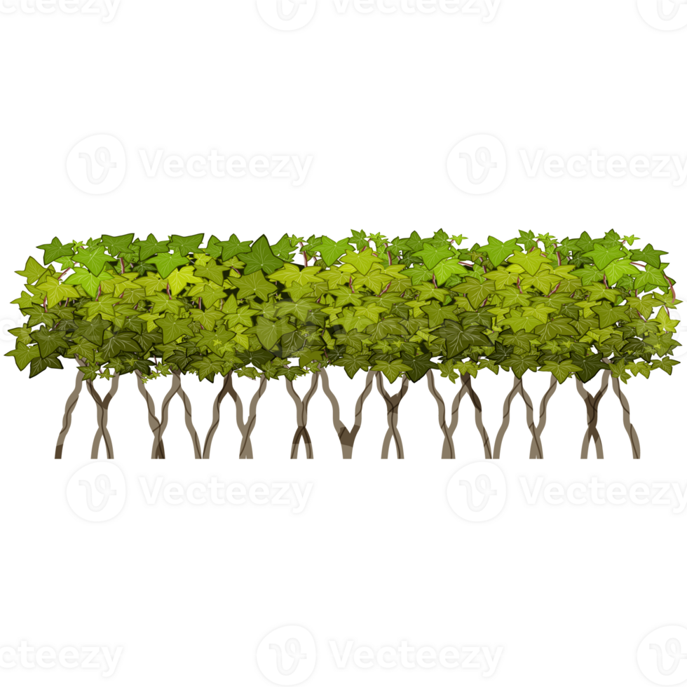 Green bush and tree for landscape and architecture drawing, elements for environment and garden,botanical elements for section in spring. png
