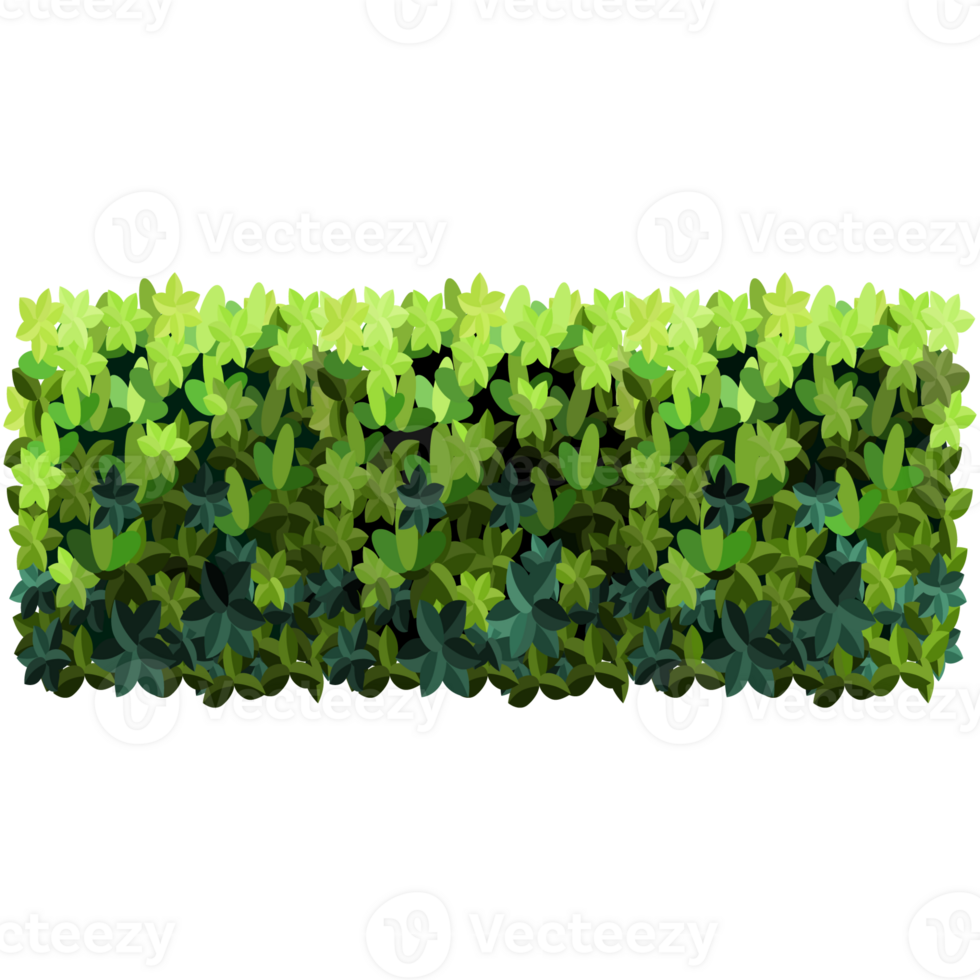 Green bush and tree for landscape and architecture drawing, elements for environment and garden,botanical elements for section in spring. png