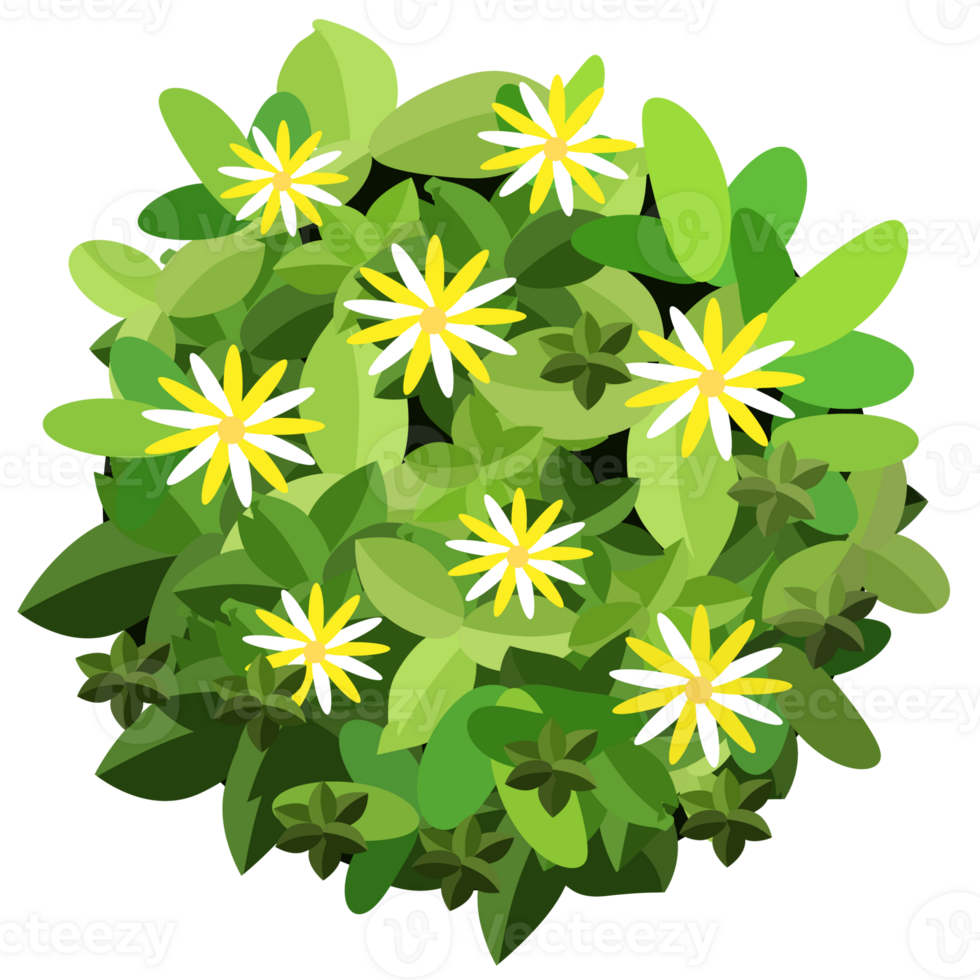 Green bush and tree for landscape and architecture drawing, elements for environment and garden,botanical elements for section in spring. png