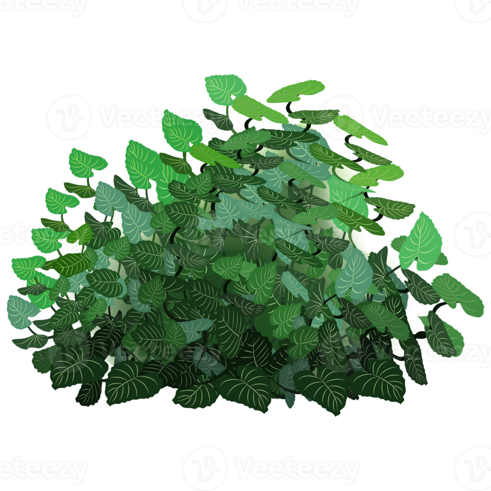 Green bush and tree for landscape and architecture drawing, elements for environment and garden,botanical elements for section in spring. png