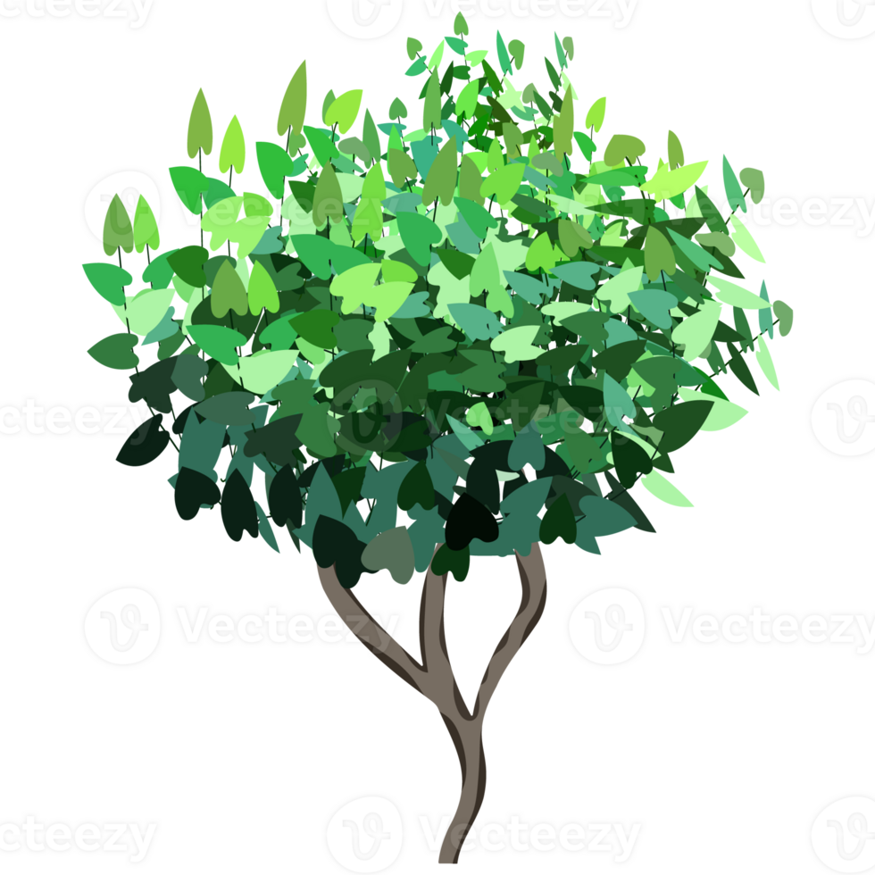 Green bush and tree for landscape and architecture drawing, elements for environment and garden,botanical elements for section in spring. png