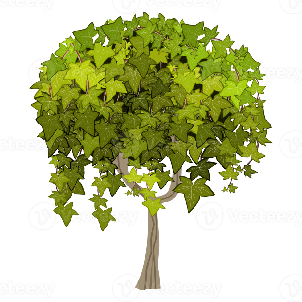 Green bush and tree for landscape and architecture drawing, elements for environment and garden,botanical elements for section in spring. png